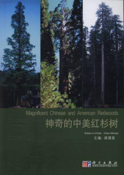 Magnificent Chinese and American Redwoods