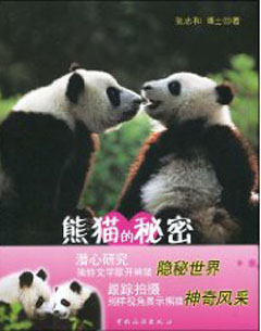 The Secret of Pandas