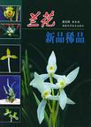 New and Rare Orchids in China 