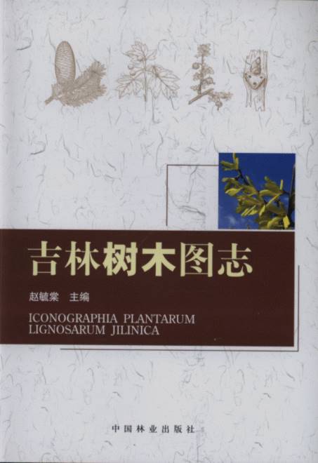 Iconographia Plantarum Lignosarum Jilinica