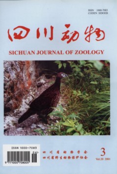Sichuan Journal of Zoology (Vol.20, No.3, 2001) 