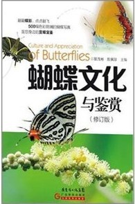 Culture and Appreciation of Butterflies