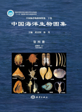 An Illustrated Guide To Species in China’s Seas (Vol.4)- Animalia (2) Mollusca