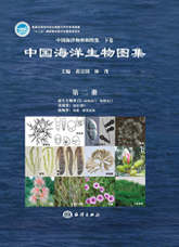 An Illustrated Guide To Species in China’s Seas  (Vol.2)   - Protista (2): Radiolaria, Granuloreticulosa; Fungi : Lichen; Plantae: Seaweeds, Trachephyta Plants