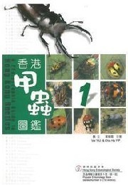 A Photographic Guide to Hong Kong beetles (1)