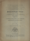 Palaeontologia Sinica (Series A. Vol.I Fascicle 3) Fossile Pflanzen aus Shensi, Szechuan und Kueichow