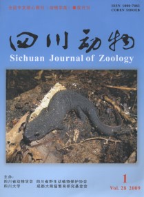 Sichuan Journal of Zoology (Vol.28, No.1, 2009)