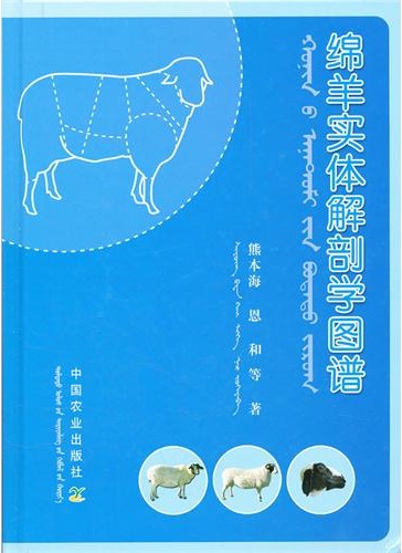 Atlas of Sheep Entity Anatomy (mianyang shiti jiepouxue tupu)