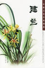 China's Famous Orchids Archives：Cymbidium ensifolium