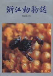 Fauna of Zhejiang – Araneida