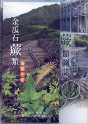 Illustration of Ferns in Jinguashi Area, Taiwan