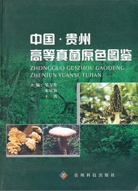 Colored Illustration of Higher Fungi from Guizhou in China