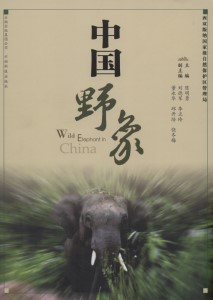 Wild Elephant in China