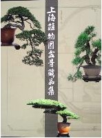 The Collections of Miniascape Masterpieces in Shanghai Botanical Garden