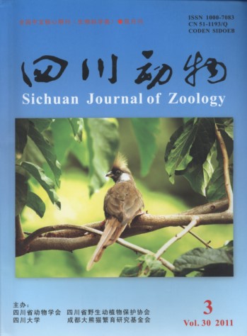 Sichuan Journal of Zoology (Vol.30, No.3 2011)