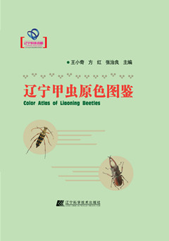 Color Atlas of Liaoning Beetles 