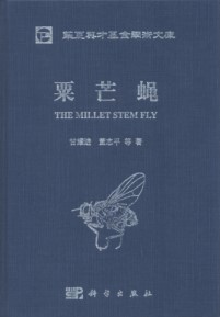 The Millet Stem Fly