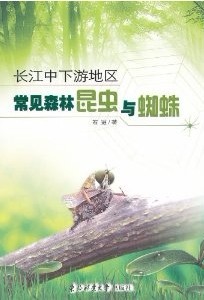 Common Forest Insects and Spiders in the Middle and Lower Reaches of the Yangtze River