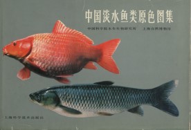 The Freshwater Fishes of China in Coloured Illustrations Vol.1