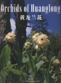 Orchids of Huanglong