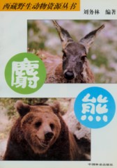 Wildlife Resources of Tibetan Series(1)-Musk Deer and Bear