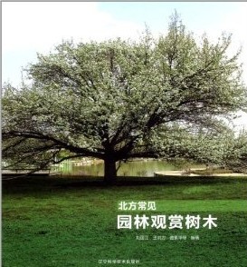 Common Ornamental trees in the North China
