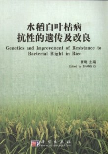 Genetics and Improvement of Resistance to Bacterial Blight in Rice