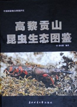 Ecological Photograph Handbook of Insects in Gaoligongshan