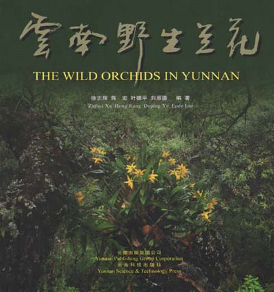 The Wild Orchids in Yunnan 