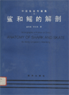 Monographs of Fishes of China (No.3)-Anatomy of Shark and Skate