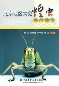 Colour Atlas of Common Grasshoppers and Locusts in Beijing