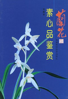 Orchid Appreciation Series -Appreciation of Pure Color Orchids