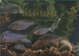 The Freshwater Fishes of China in Coloured Illustrations  Vol.3