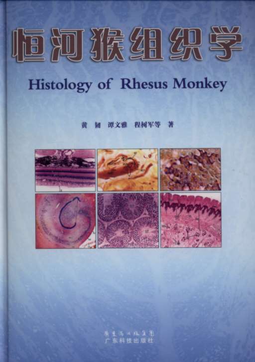 Histology of Rhesus Monkey