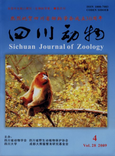 Sichuan Journal of Zoology (Vol.28, No.4, 2009)