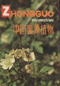 The Honey Plant in China