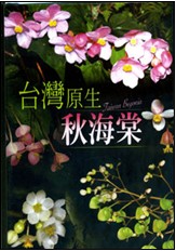 Taiwan Begonia (DVD)