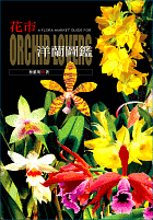 A Flora Market Guide for Orchid Lovers