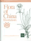 Flora of China, Illustrations, Vol.16, Gentianaceae through Boraginaceae