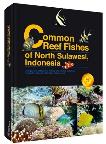 Common Reef Fishes of North Sulawesi,Indonesia