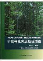Atlas of Forest Insects in Ningbo