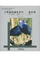 The World's Endangered Waterbirds: purpal gallinule