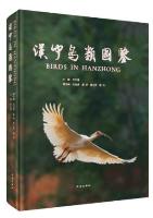 Birds in Hanzhong