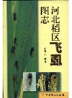 Atlas of Rice Planthoppers Management in Hebei Province