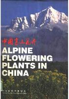 Alpine Flowering Plants in China