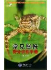 A Photographic Guide to Spiders of China