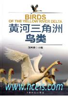 Birds of the Yellow River Delta