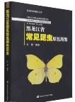 Primary Color Atlas of Common Insects in Heilongjiang Province