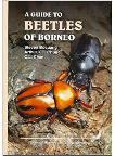  A Guide to Beetles of Borneo