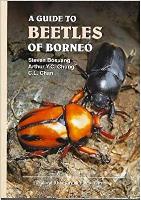  A Guide to Beetles of Borneo
